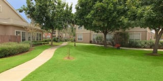 Rincon Apartments Gallery 21