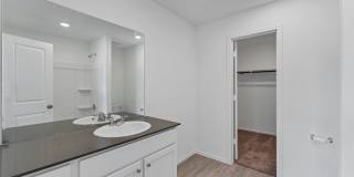 332 Elephants Ear Gallery 13