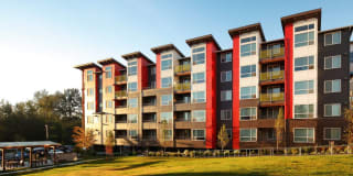 Avalon Alderwood Gallery 39