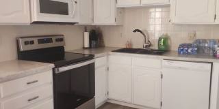 Home Located in Camina's Gallery 4