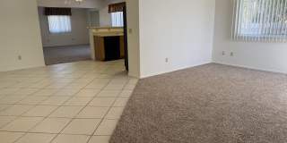 2946 W Ring Tail Drive Gallery 5