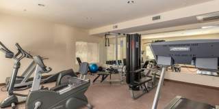 33575 N DOVE LAKES Drive Gallery 32