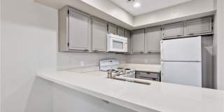 2220 Pine Breeze Lane Gallery 1