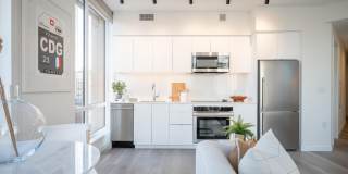 Collection 14 Gallery 4