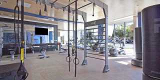 The Alamitos Gallery 13