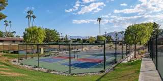 30 Columbia Drive Gallery 43