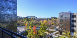 Emery Flats Gallery 12