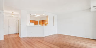 3210 N LEISURE WORLD Boulevard unit: 119 Gallery 20