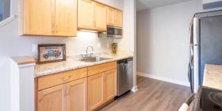 Walkabout Creek Gallery 23