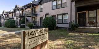 Hawthorne Street Gallery 86