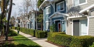 Montiavo Gallery 21