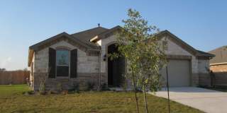 370 Evening Star Gallery 1