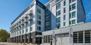 Mark on 8th Gallery 1