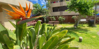 747 Wiliwili Street #804: Bright and spacious apartment centrally located! Gallery 26