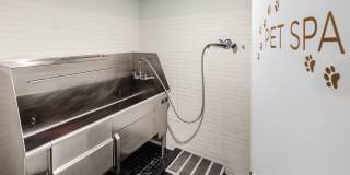 Oriana Oriana Gallery 13