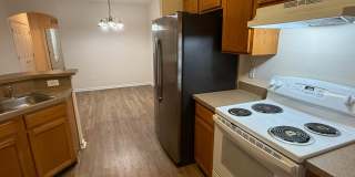 785-1  Oakleaf Plantation Parkway unit 123 Gallery 14