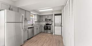 Sea Oats Sea Oats Gallery 98