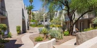 1010 E OSBORN Road Gallery 27