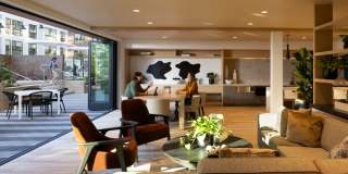 Avelle Gallery 23