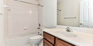 21759 LADYSLIPPER Square Gallery 17
