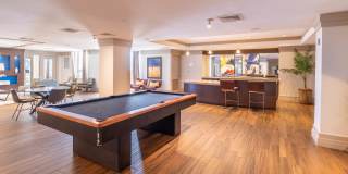 The Veridian Gallery 31