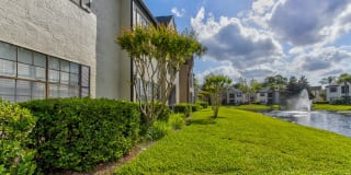 Cypress Run Gallery 13