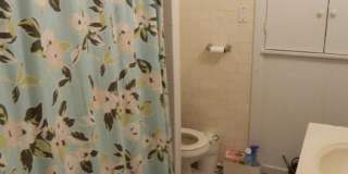 Nice 4 bed in Brookline Gallery 8
