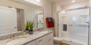 Brandywine Gallery 15