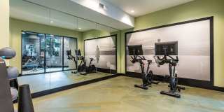 Jade at North Hyde Park Gallery 8