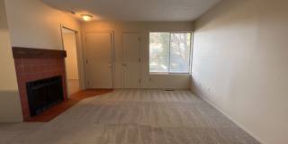 Prime Location! 1 bed 1 bath apartment near Sloan's Lake and Main Street Edgewater Gallery 1