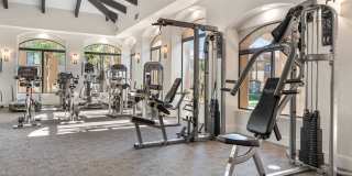 Palms on Scottsdale by Mark-Taylor Gallery 8