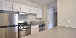 The Zimmer Gallery 4