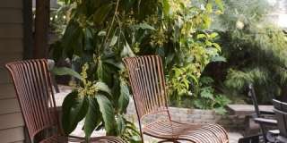 5918 Monte Vista St Gallery 42