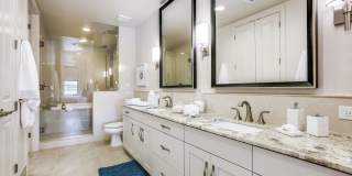 The Ivy Park Place Gallery 17