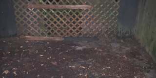 1 BR /1 BA Townhome in Villas of Westridge for sublease Gallery 15