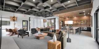 Cooper 202 Gallery 9