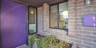 3702 E Paradise Drive Gallery 23