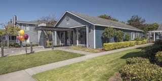 Cypress Creek Gallery 46