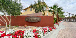 80088 Ironbark Way Gallery 3