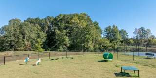 Paragon Luxury Apartments Gallery 15