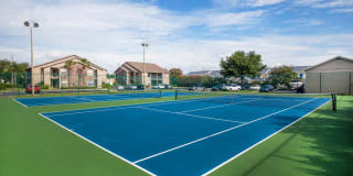 Heron Lake Gallery 26