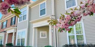 1119 Somerchase Ct Gallery 1