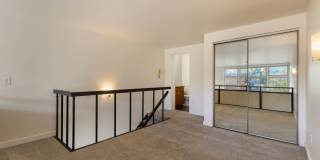 Marlene Renee Gallery 13