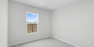 111 Brazil Nut Circle Gallery 19