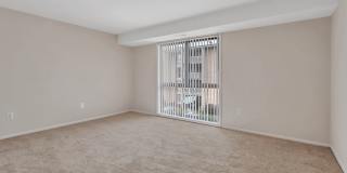 Aspen Hill Gallery 12