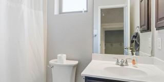 21518 Andrews Garden Gallery 18