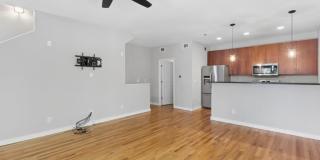 238 Walker Street Gallery 9