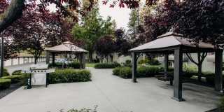 Treetop Gallery 3