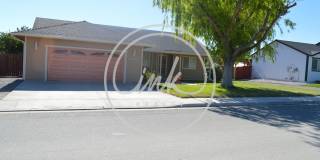 3 Bed / 2 Bath / 1 Office - Beautiful updated home on quiet street for rent Gallery 1