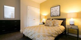 301 N CHARLES Street Gallery 48